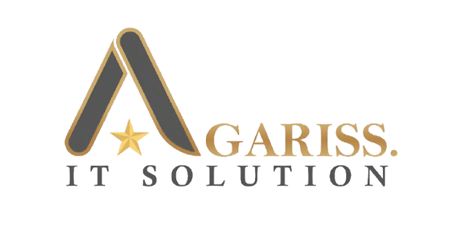 agariss IT solution